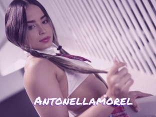 Antonellamorel