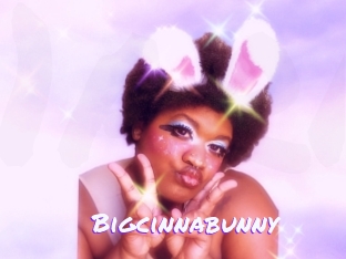 Bigcinnabunny