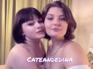 Cateandedina