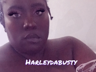 Harleydabusty