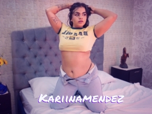 Kariinamendez