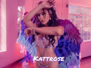 Kattrose