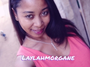 Laylahmorgane