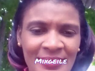 Mixgeile