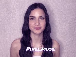 Pixelmuse