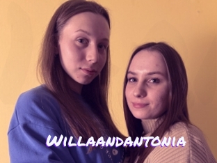 Willaandantonia